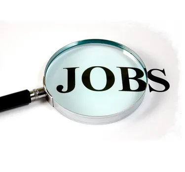 job alert detail information