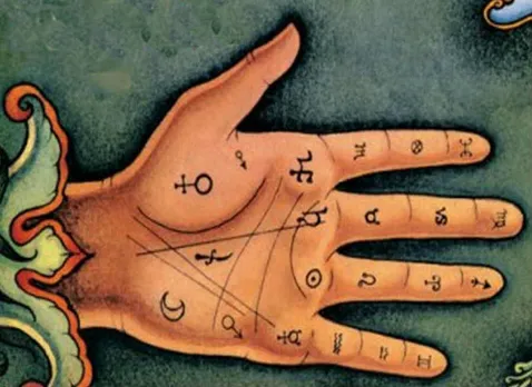 lines of the palm
