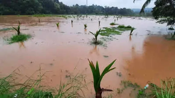 Kerala, Rainfall, IMD,