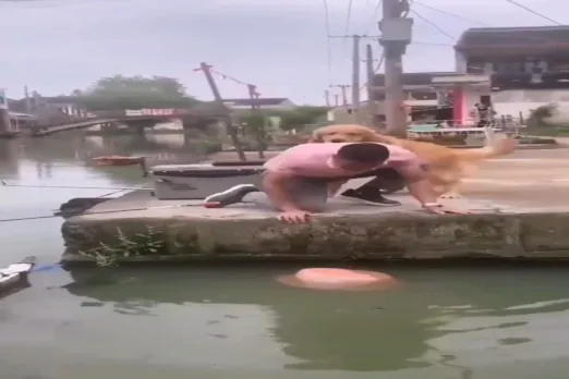 Viral Video