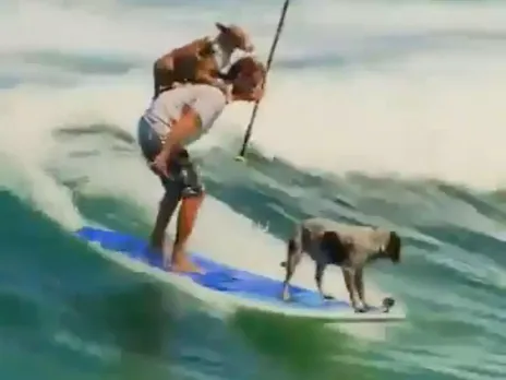 Viral Video