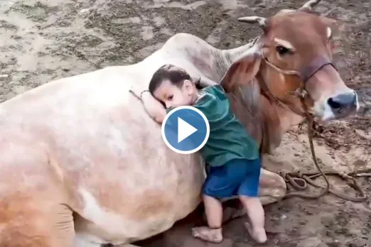 Viral Video