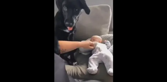 Viral Video