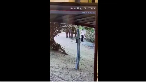 Viral Video