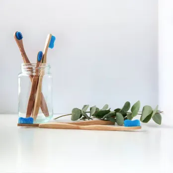 Single use plastic ban