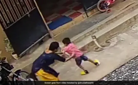 Viral video