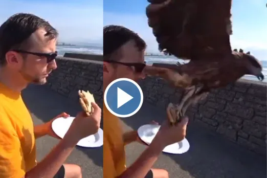 Viral Video