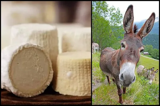 World's Most Expensive Paneer