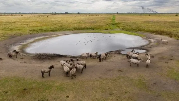 England drought