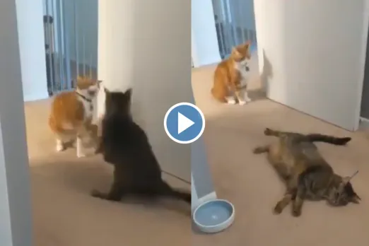 Viral Video