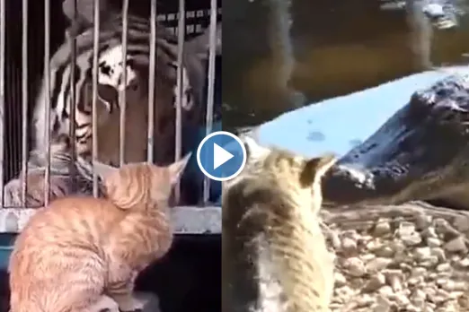 Viral Video