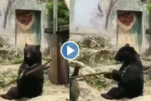 Viral Video