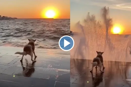 Viral Video