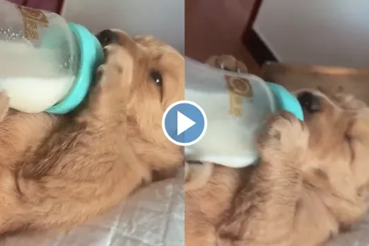 Viral Video