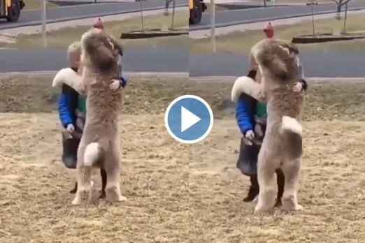 Viral Video