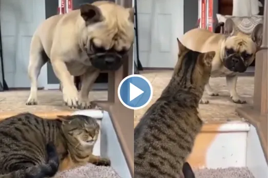 Viral Video