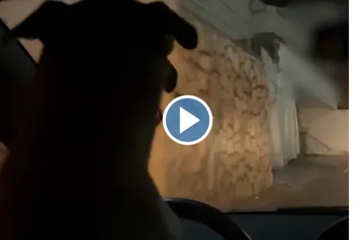 Viral Video
