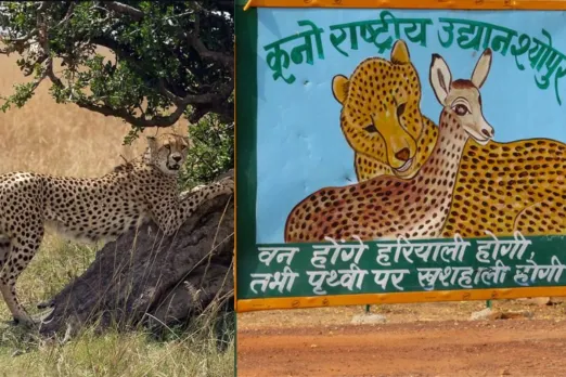 Madhya Pradesh