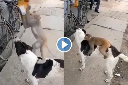 Viral Video