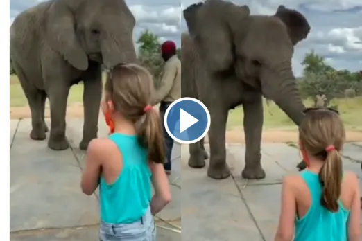 Viral Video