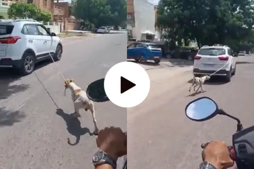 Viral Video