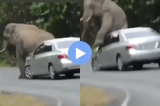 Viral Video