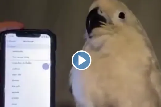 Viral Video