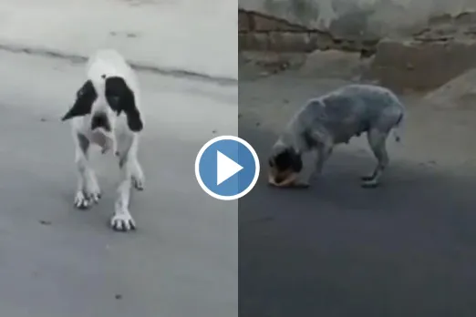 Viral Video