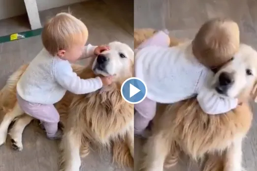 Viral Video: A hug can make a huge difference, the dog's epic reaction to baby's love is worth watching, video here