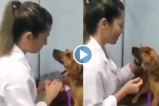 Viral Video