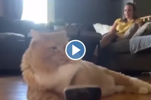 Viral Video