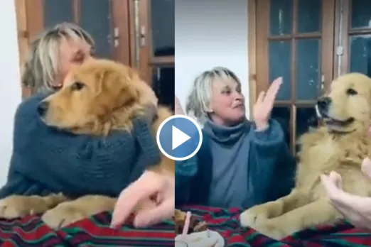 Viral Video