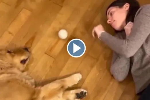 Viral Video