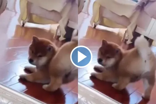 Viral Video