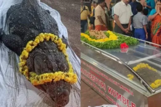 Viral Photo
