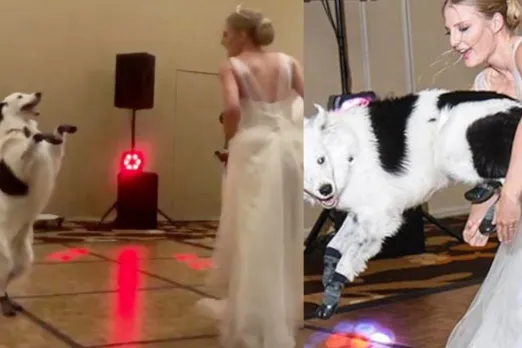 Viral Video