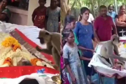Viral Video