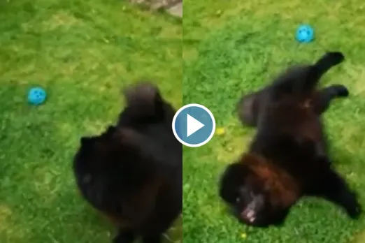 Viral Video
