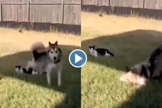 Viral Video