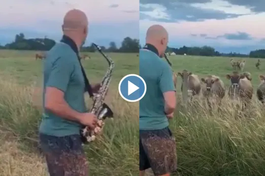 Viral Video