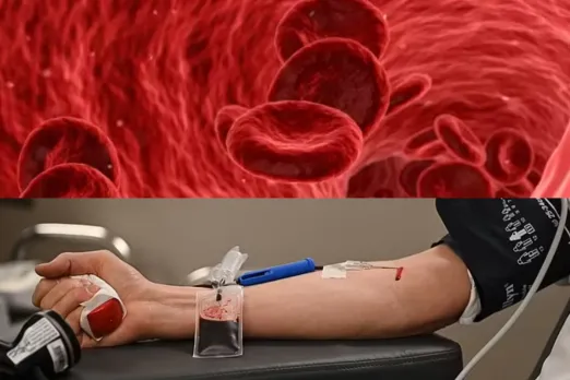 Lab Grown Blood