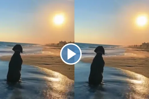 Viral Video