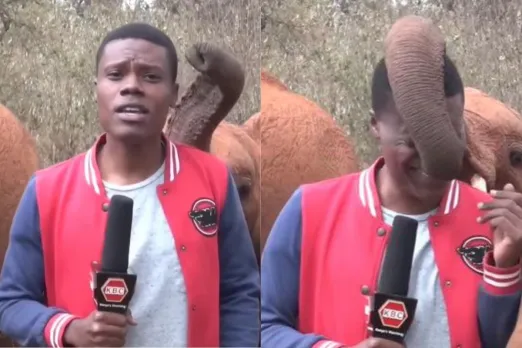 Viral Video