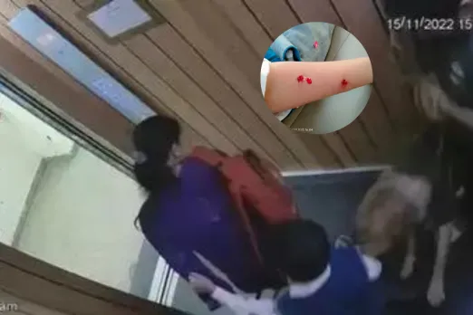 Viral Video