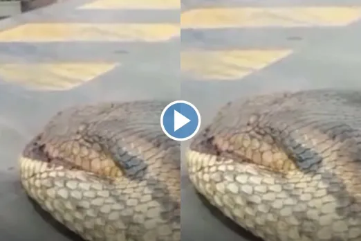 Viral Video