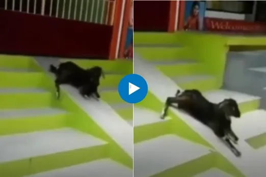 Viral Video