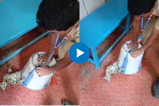 Viral Video