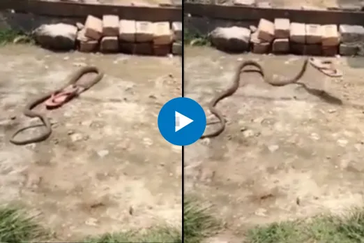 Viral Video