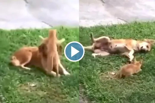 Viral video