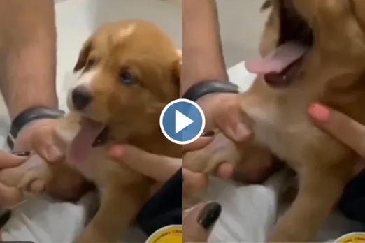 Viral video
